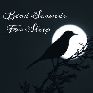 Bird Sounds For Sleep