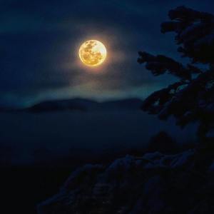 Listen to Chance song with lyrics from Deep Sleep