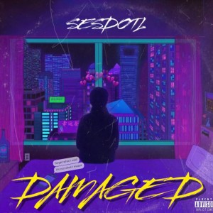 收聽SesDotL的Damaged歌詞歌曲