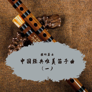 收聽絲竹居士的森林狂想曲 (唯美笛子曲)歌詞歌曲