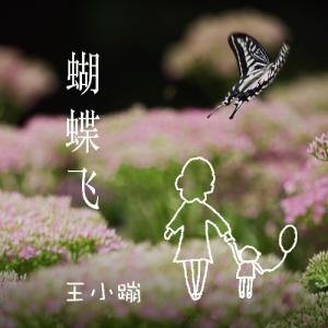Album 蝴蝶飞 from 王小蹦