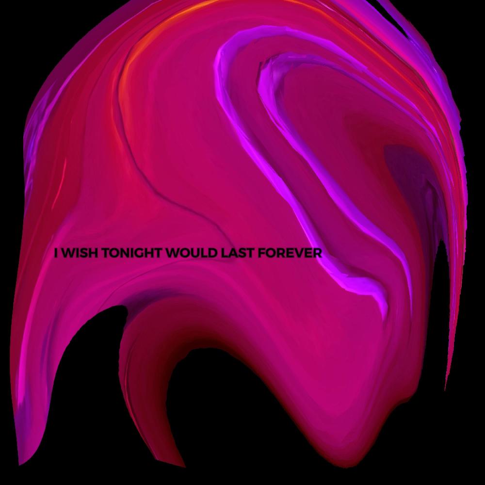 I WISH TONIGHT WOULD LAST FOREVER (Explicit)