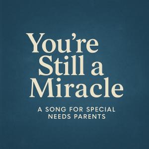 Brightside的專輯You're Still a Miracle