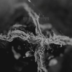 Listen to Tengerrel Álmodó song with lyrics from Noisesculptor