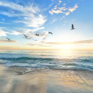 Dengarkan lagu Positive Affirmations nyanyian Relaxing Music dengan lirik