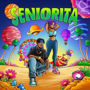 ดาวน์โหลดและฟังเพลง Seniorita พร้อมเนื้อเพลงจาก Frank Owens