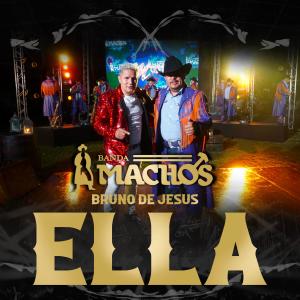 Banda Machos的專輯Ella