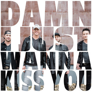 ดาวน์โหลดและฟังเพลง Damn I Just Wanna Kiss You พร้อมเนื้อเพลงจาก THW