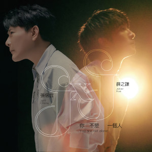 Listen to 你不是一个人 song with lyrics from Jeff Chang (张信哲)