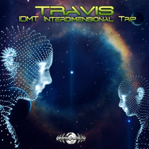 收听Travis的IDMT (Interdimensional Trip)歌词歌曲