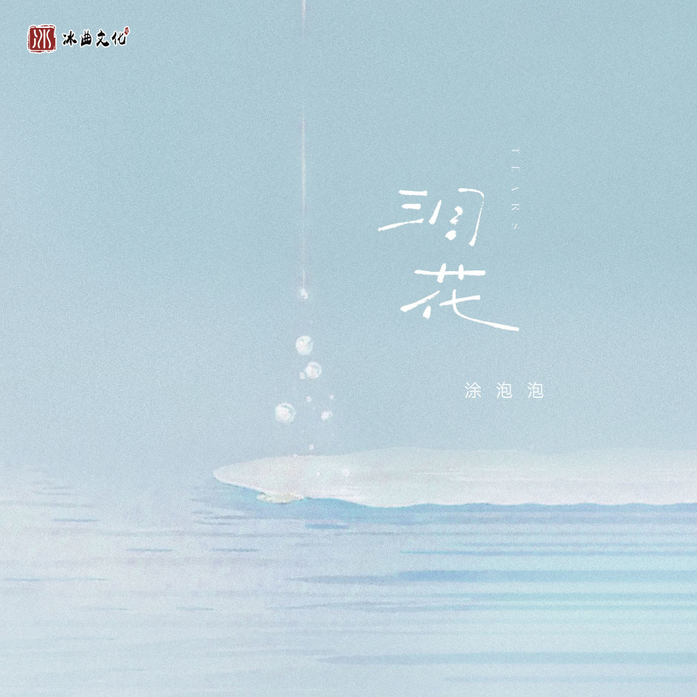 泪花 (伴奏)