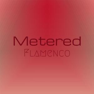 Album Metered Flamenco from Various