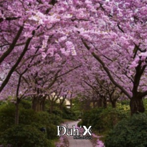 收聽Duh'X的Valores歌詞歌曲