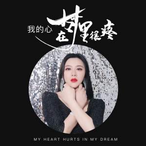 Album 我的心在梦里很疼 (DJ何鹏版) from 荀相侨