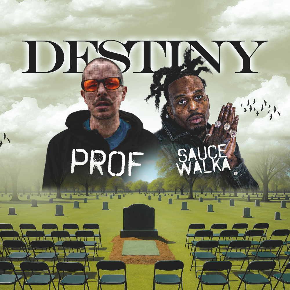 Destiny (Explicit)