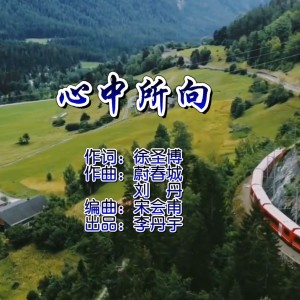 Album 心中所向 from 徐圣博