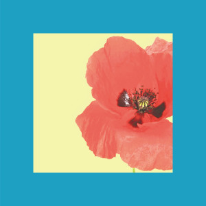Shimamo的專輯Poppies