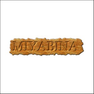 收聽MIYABINA的Ikeike歌詞歌曲