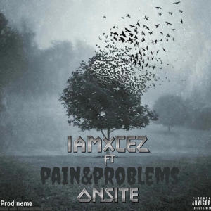 Lul Cez的專輯Pain & Problems (feat. Onsite) [Explicit]