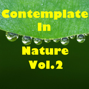 Various Artists的專輯Contemplate In Nature, Vol.2