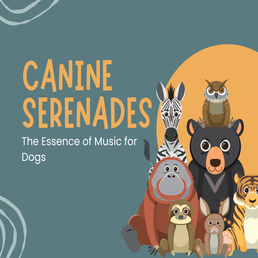 Music for Dogs’ Running in Fields