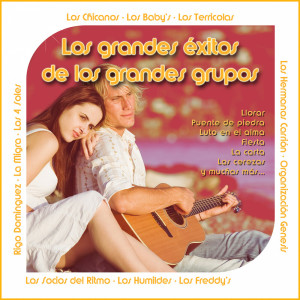 收聽Alfredo "El Pulpo" Y Sus Teclados的Te Meneo歌詞歌曲