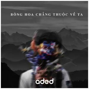 Listen to Bông Hoa Chẳng Thuộc Về Ta (Lofi Version) song with lyrics from Deus Tiến Đạt