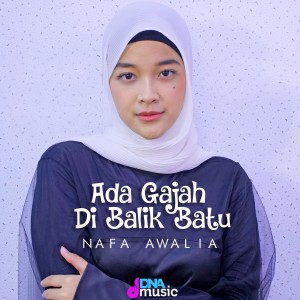Album Ada Gajah Di Balik Batu oleh Nafa Awalia