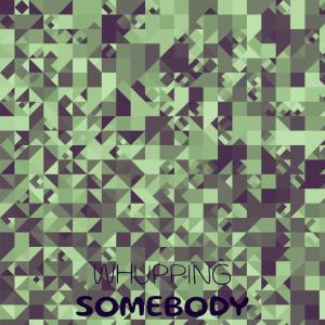 Listen to Holiday Sophomore song with lyrics from Rucas Rmon
