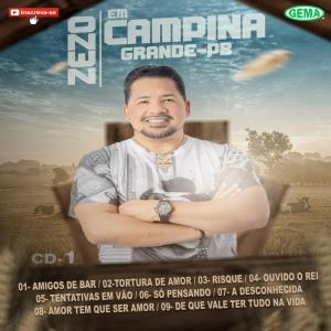 Listen to A Desconhecida (Ao vivo) song with lyrics from Zezo