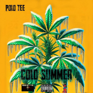 Album Cold Summer (Explicit) from Polo Tee
