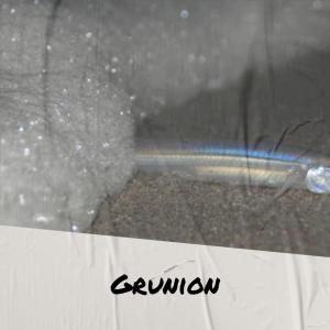 Album Grunion oleh Various