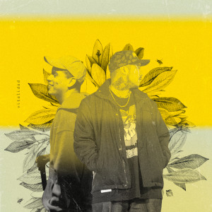 Listen to Vitalidad song with lyrics from Rolando Fino