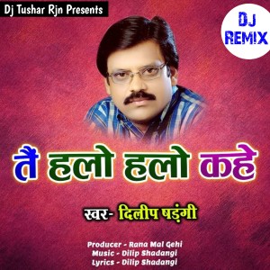 Listen to Tai Hello Hello Kahe Dj Remix| तैं हैलो हैलो कहे song with lyrics from Dilip Shadangi