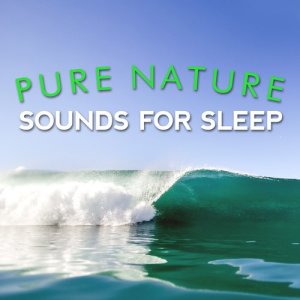 ดาวน์โหลดและฟังเพลง Spring Song พร้อมเนื้อเพลงจาก Nature Sounds for Sleep and Relaxation