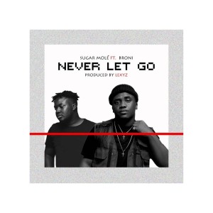 收聽Broni的Never Let Go歌詞歌曲