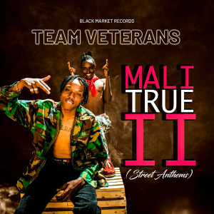 Listen to Vita Ni Baaad song with lyrics from Team Veterans