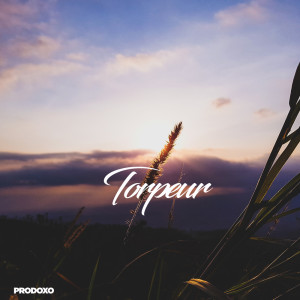 收听Prodoxo的Torpeur歌词歌曲
