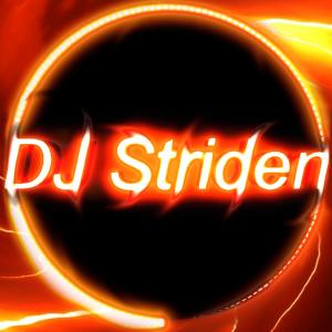 DJ Striden的專輯Level One Two Punch