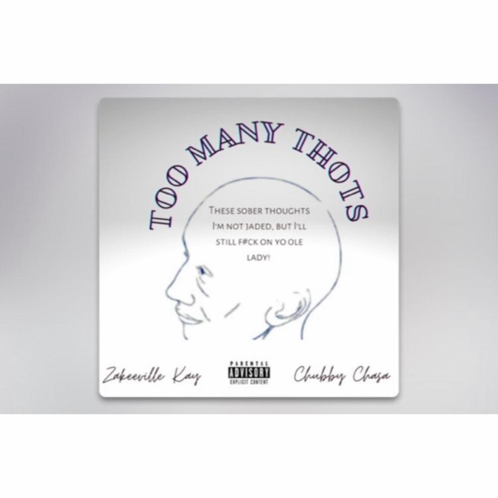 Too Many Thots (feat. Chubby Chasa) (Explicit)