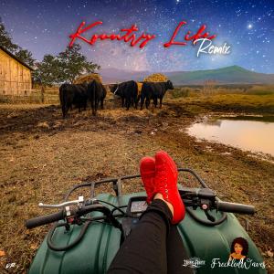 อัลบัม Kountry Life (feat. Young Bopete) [Remix] ศิลปิน FreckledWaves