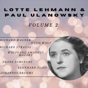 收听Paul Ulanowsky的Der Doppelgänger歌词歌曲