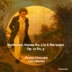 Listen to II. Andante con molta espressione song with lyrics from David Oistrakh