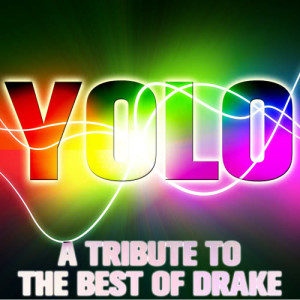 อัลบัม Yolo: A Tribute to the Best of Drake ศิลปิน Ultimate Tribute Stars
