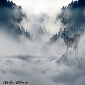 Listen to Winter Stillness song with lyrics from Angie Hawke
