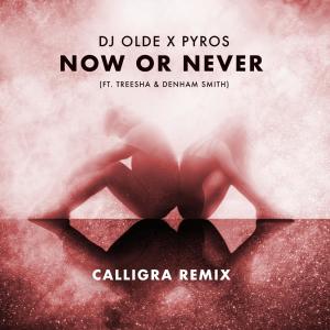 Listen to Now or Never (feat. Treesha & Denham Smith) [Calligra Remix] song with lyrics from DJ Olde