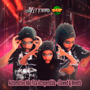 DJ Vitynho PH的專輯Automotivo Não Fica Arrependida - Slowed & Reverb (Explicit)
