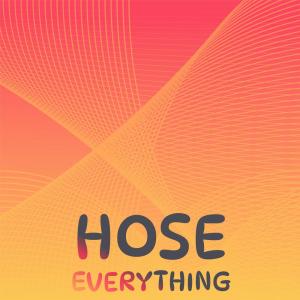 Various的专辑Hose Everything