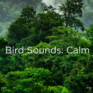 收聽Yoga的8D Sleep Music With Rain歌詞歌曲