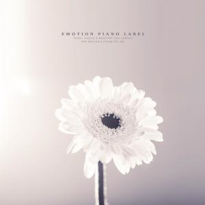 收聽An Unnamed Flower的A fainthearted person歌詞歌曲